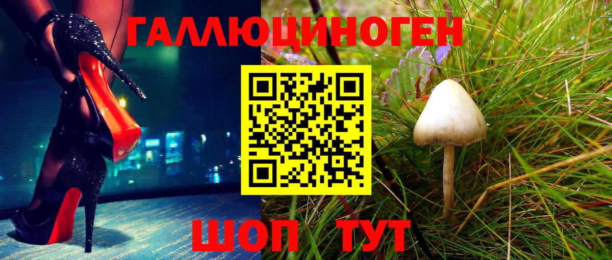 Химки  цена наркотик  Вход с VPN  Псилоцибиновые грибы прущие грибы 