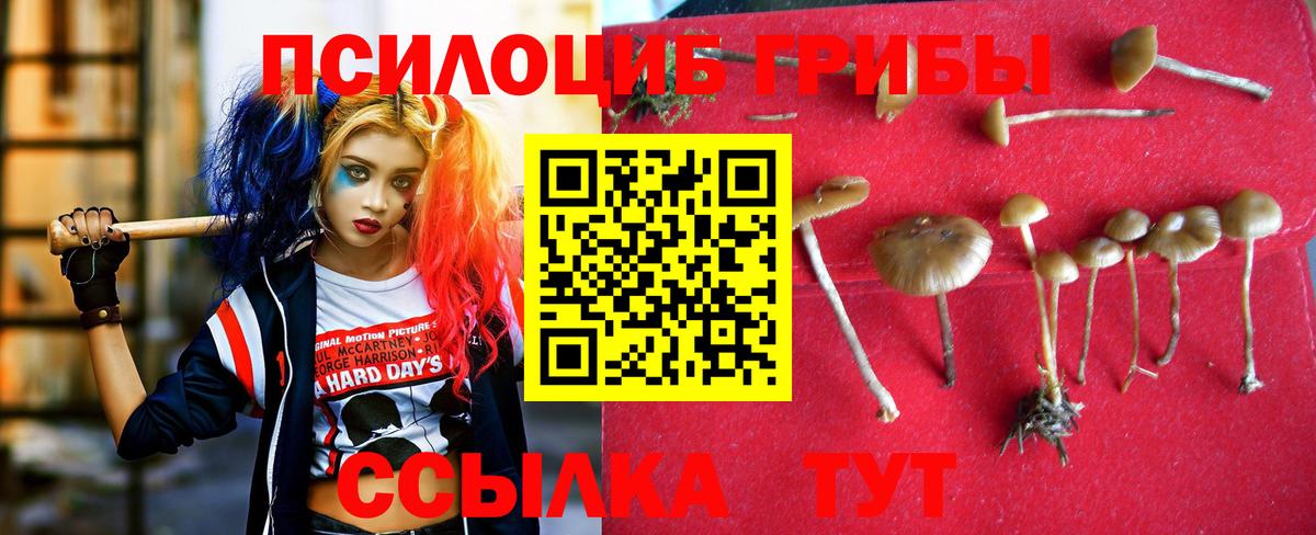 ГАШИШ Химки